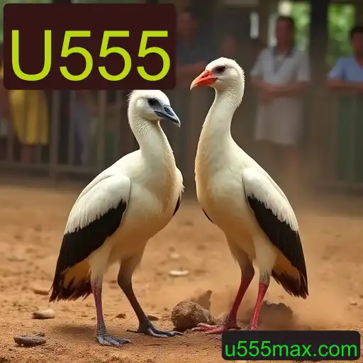 Jogos de sabong