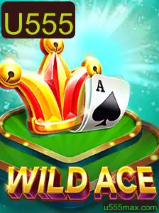 Descubra WildAce: Mergulhe na Aventura do Novo Jogo Inovador